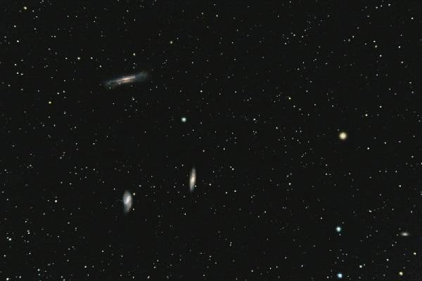 Leotriplet